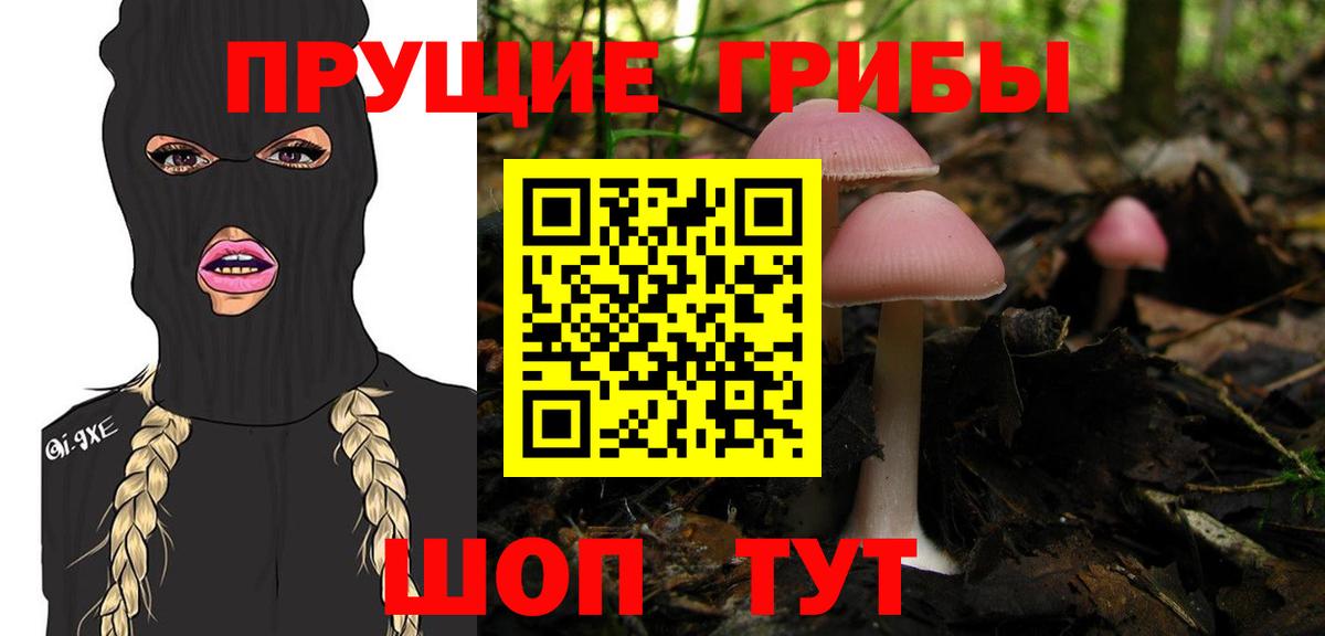 Галлюциногенные грибы GOLDEN TEACHER Чехов