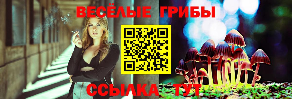 Чехов  Галлюциногенные грибы прущие грибы  Вход с VPN 